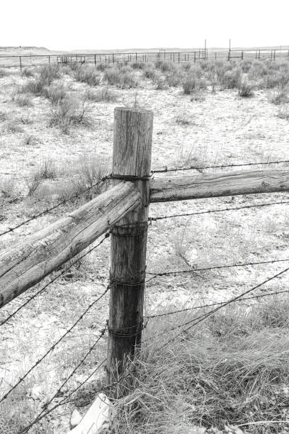 istock Corral Post in the Snowy Nebraska Prairie Back and White 1490082562