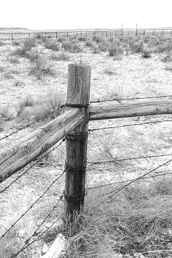 Black and white conversion of an old wood corral post in the snowy winter landscape of the Nebraska prairie.