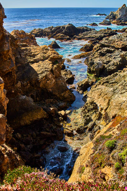 istock Cliffs with tide pool nook next to ocean on west coast 1490083381