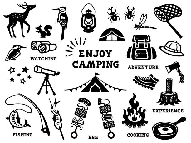 ilustraciones, imágenes clip art, dibujos animados e iconos de stock de silueta ilustración conjunto de camping - silhouette stag beetle beetle insect