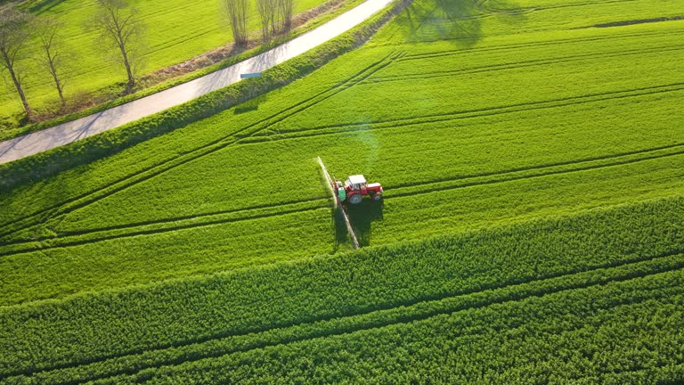 Spraying green wheat field. Farming tractor spraying on field with sprayer, herbicides and pesticides. Industrial machine fertilizing