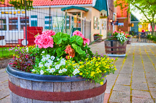 Image of Close-up of colorful flowerpot with rustic village in background