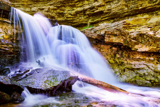 istock Colorful waterfall splashing on rocks and lone tree trunk 1490085012