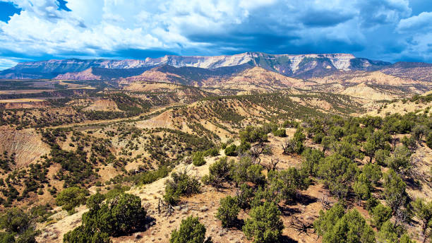 istock Desert forest with large open mountain landscape and storm clouds 1490085837