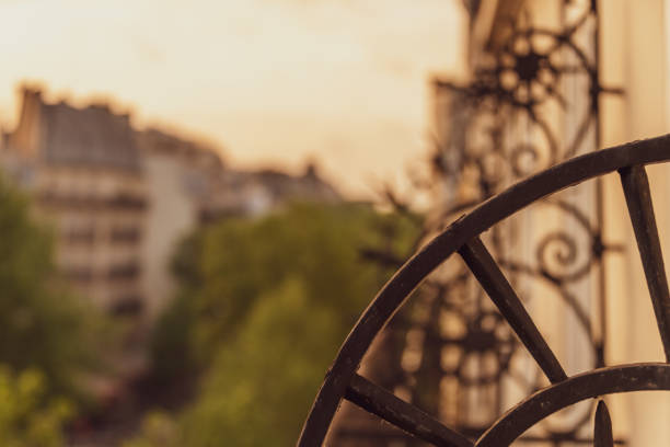 Wrought Iron fence in Paris at sunset
