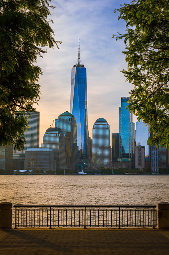 The Freedom Tower and lower Manhattan framed by trees