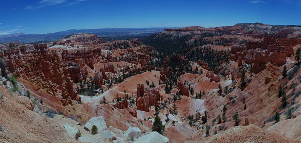 panoramic view over amphitheater in Bryce Canyon, Utah