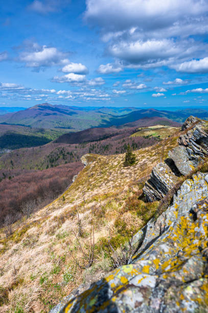 istock Spring mountain landscape. Bukowe Berdo in the Bieszczady Mountains, Poland. 1490095911