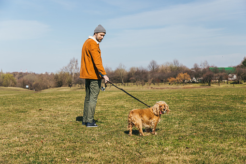 a young man with a beard stands with his back to a spaniel dog and looks at her in the park