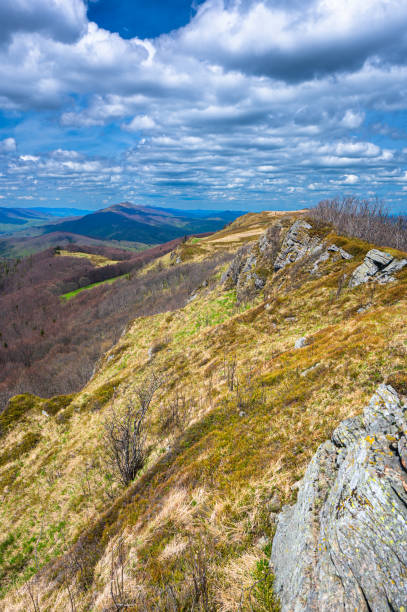 istock Spring mountain landscape. Bukowe Berdo in the Bieszczady Mountains, Poland. 1490103075