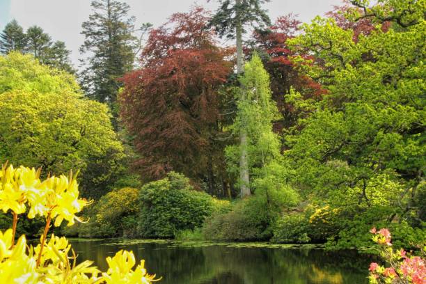 istock Bargany Gardens,South Ayrshire, Scotland. 1490103374