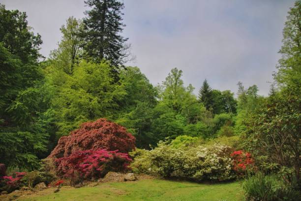 istock Bargany Gardens,South Ayrshire, Scotland. 1490103549