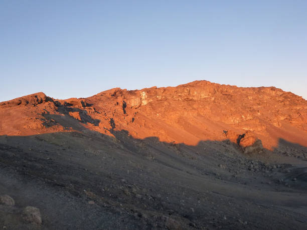 istock Desert landscape with mountains and brown sand and blue sky. Drought and dehydration. 1490107807