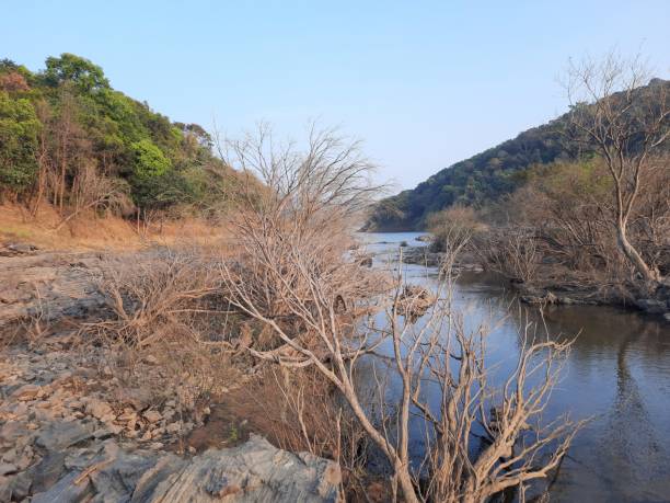 istock mountain river. western ghats river in under forest. 1490109083