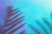 Neon vibe floral background. Dark palm tree leaves shadows. Futuristic close-up texture. Creative fluorescent color layout made of tropical leaves. Flat lay neon colors. Summer vacation concept.