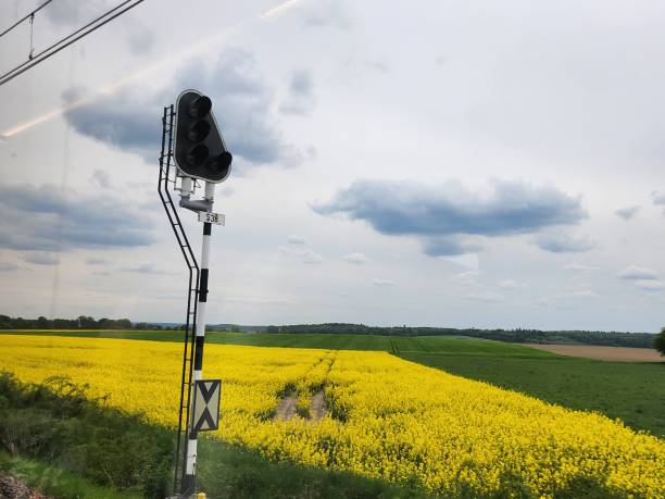 istock View of farmland oilseed rape. 1490117507