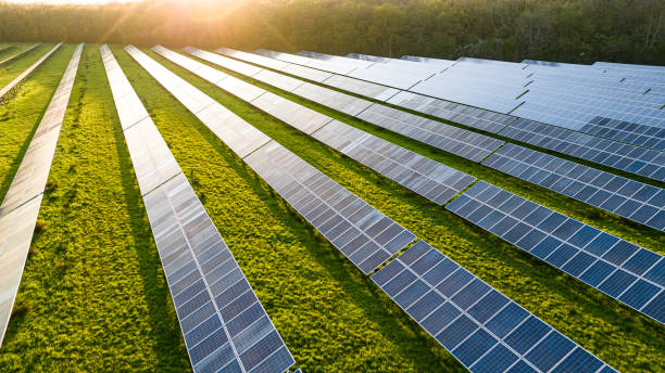 istock Solar power farm in the evening. 1490124609