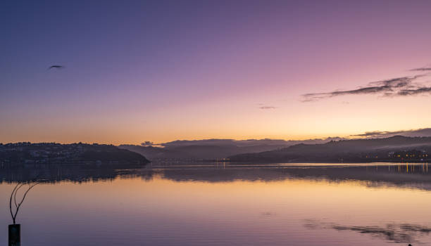 istock Dawn on Porirua Harbour 1490126648