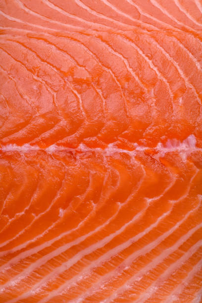 istock Fresh raw salmon red fish fillet with salt and spices 1490130401