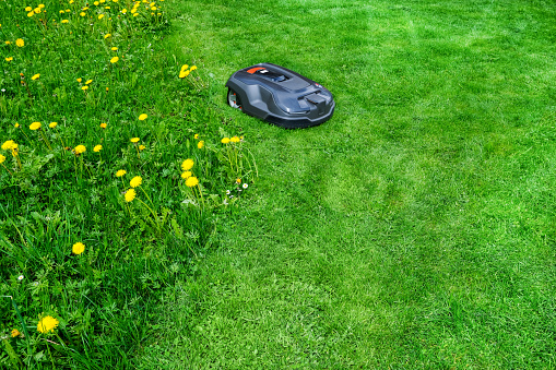 lawnmower robot on green grass background.