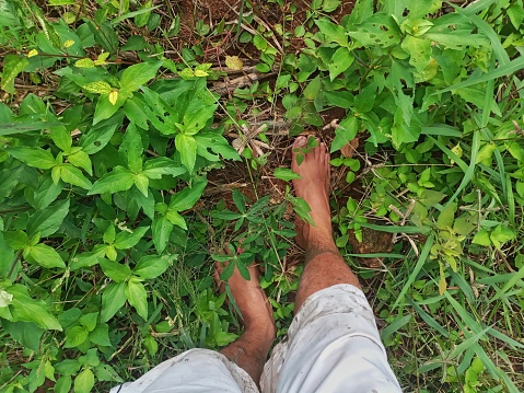 Dirty Feet of An Explorer with White Shorts Hiking and Climbing the Mountain with Lush Green Plants Surrounding