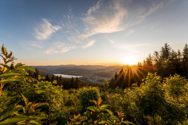 озеро титизее на закате - black forest фотографии стоковые фото и изображения