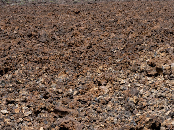 istock Volcanic lava texture soil in Teide National Park 1490139501