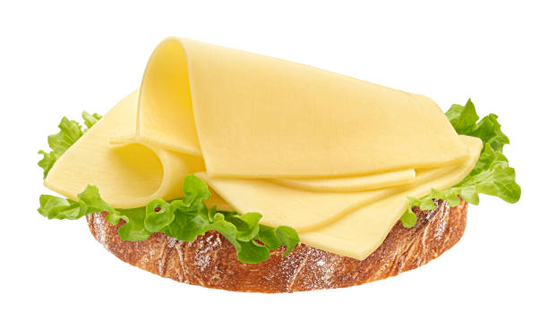 istock Cheese sandwich, gouda slices on bread isolated on white background 1490141301