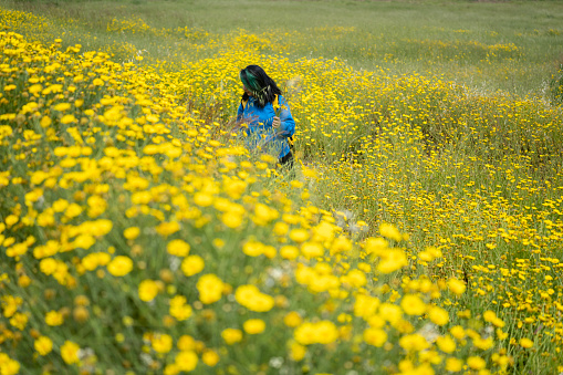 Full length photo of woman in blue sweater picking wild yellow daisy flowers in nature. Shot under daylight in outdoor.