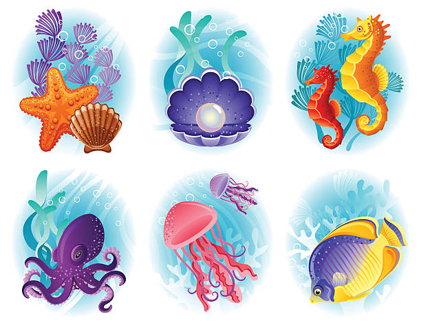Montage of cartoon sea creatures  Vector illustration - Sea animals icon set shell starfish orange sea stock illustrations