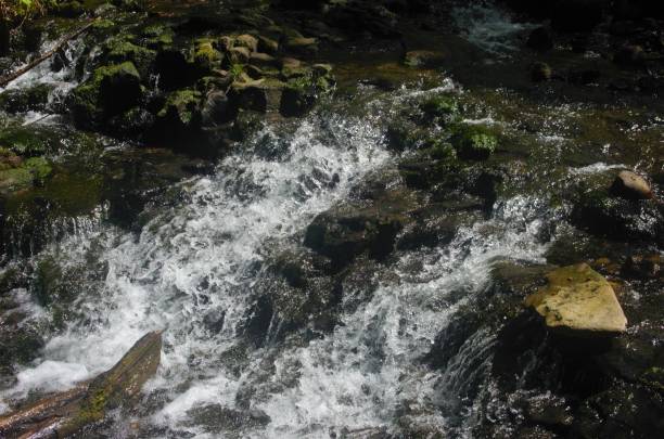 istock Water in rocky creek bed 1490166875