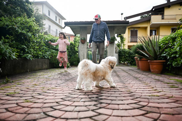 istock child and grandparent playing in a front yard. 1490170845
