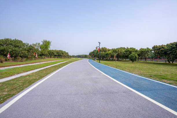 The blue-green asphalt pedestrian path in the park green space