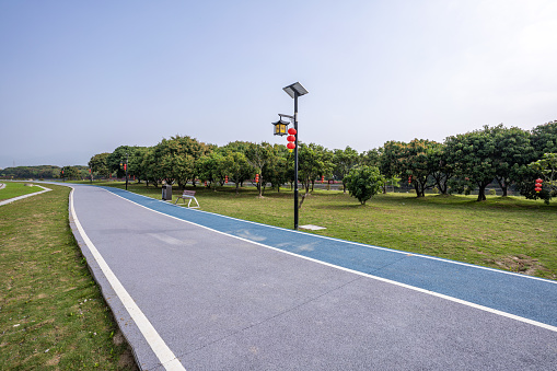 The blue-green asphalt pedestrian path in the park green space