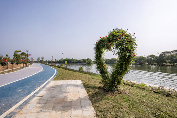 Asphalt walkways and heart-shaped plants in the park