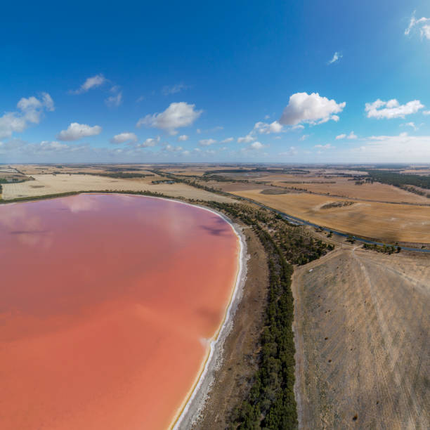 istock Pink Lake in Dimboola Victoria 1490181703