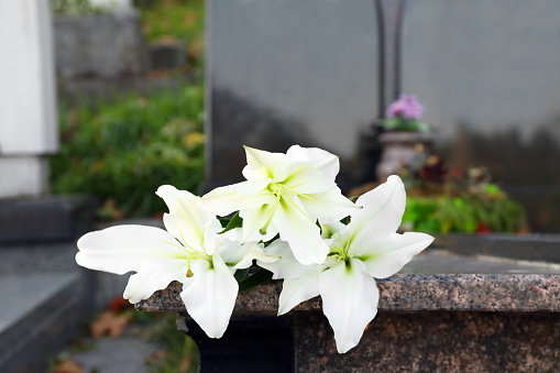 White lilies on tombstone outdoors, space for text. Funeral ceremony