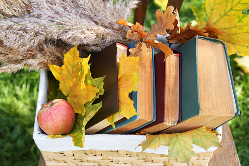 Different books, apple and maple leaves in wicker basket outdoors. Autumn atmosphere