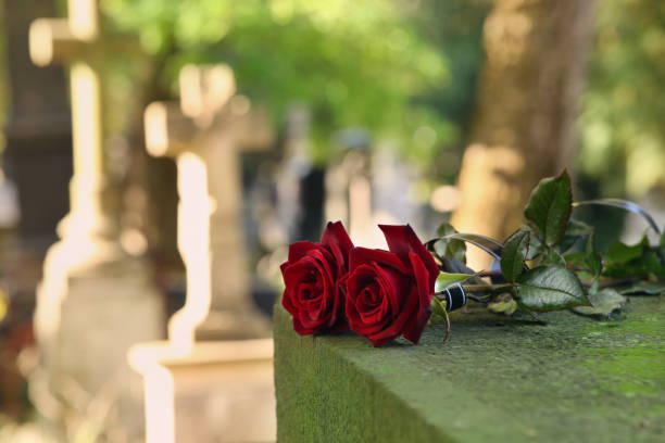 Red roses on grey tombstone outdoors on sunny day, space for text. Funeral ceremony