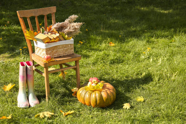 istock Rubber boots, chair, pumpkin and apples on green grass, space for text. Autumn atmosphere 1490200634