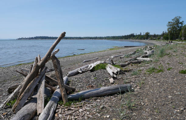 istock View of the Pacific Ocean as seen from Birch Bay 1490204880