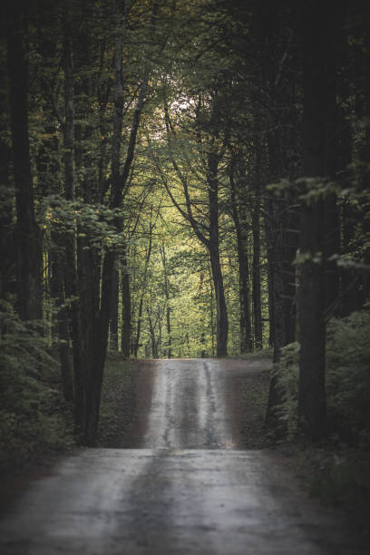istock escape the city and go camping 1490206012
