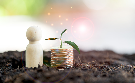 Coins in soil with young plant and wooden peg doll. Money growth concept. Business growing concept. Thinking about financial growth.