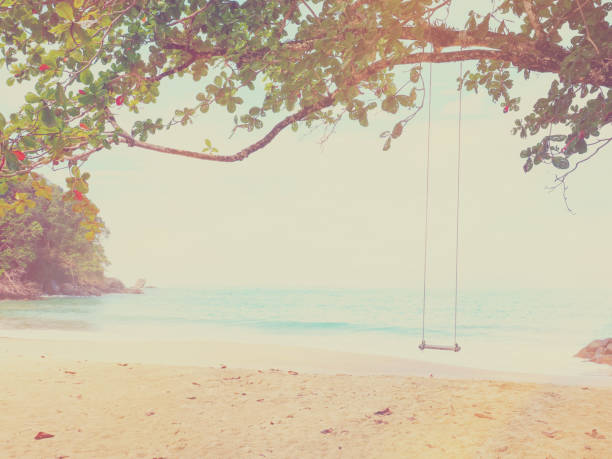 istock wooden swing hanging under big tree on the beach. 1490211691