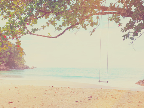 Close up wooden swing hanging under big tree on the beach, vintage filter effect. Summer holidays background.