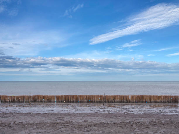 istock Wooden breakwaters along the beach at Thailand. 1490211692
