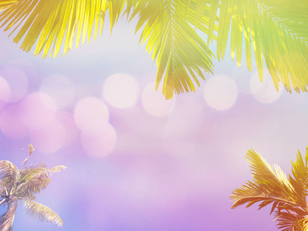 istock green palm and coconut leaves over blue sky background. 1490211693