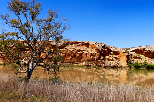 The river Murray at Walker Flat in South Australia showing the sides of the hills eroded by the river over the years