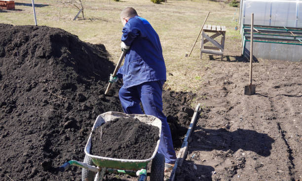 istock A man works in a vegetable garden in early spring. 1490224542
