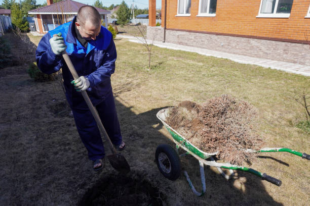 istock A man works in a vegetable garden in early spring. 1490224608